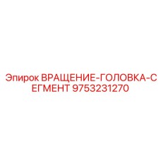9753231270 ВРАЩЕНИЕ-ГОЛОВКА-СЕГМЕНТ Epiroc