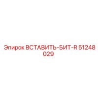 51248029 ВСТАВИТЬ-БИТ-R Epiroc
