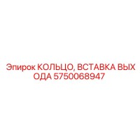 5750068947 КОЛЬЦО, ВСТАВКА ВЫХОДА Epiroc