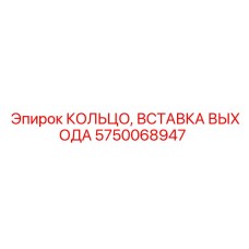 Уплотнительное кольцо выходной вставки артикул 5750068947 производитель Epiroc