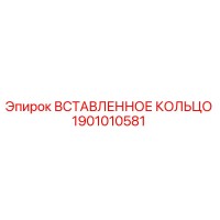 1901010581 ВСТАВЛЕННОЕ КОЛЬЦО Epiroc