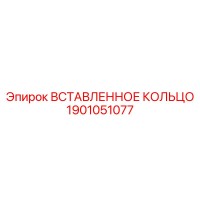 1901051077 ВСТАВЛЕННОЕ КОЛЬЦО Epiroc