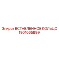 1901065899 Вставленное кольцо Epiroc