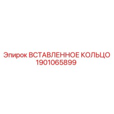 1901065899 Вставленное кольцо Epiroc