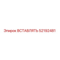 52192481 ВСТАВЛЯТЬ (Epiroc)