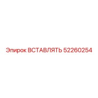 52260254 ВСТАВЛЯТЬ (Epiroc)