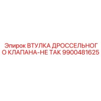 9900481625 ВТУЛКА ДРОССЕЛЬНОГО КЛАПАНА-НЕ ТАК Эпирок