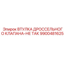 9900481625 ВТУЛКА ДРОССЕЛЬНОГО КЛАПАНА-НЕ ТАК Эпирок