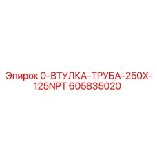 605835020 0-ВТУЛКА-ТРУБА-250X-125NPT Epiroc