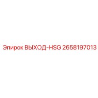 2658197013 ВЫХОД-HSG Epiroc