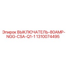 1310074495 ВЫКЛЮЧАТЕЛЬ-80AMP-NGG-CSA-Q1-1 Epiroc
