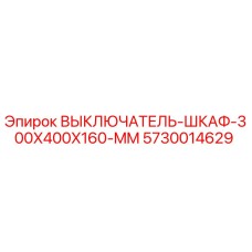 5730014629 ВЫКЛЮЧАТЕЛЬ-ШКАФ-300X400X160-MM Epiroc