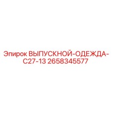 2658345577 ВЫПУСКНОЙ-ОДЕЖДА-C27-13 Epiroc
