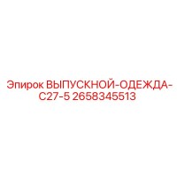 2658345513 ВЫПУСКНОЙ-ОДЕЖДА-C27-5 Epiroc