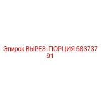 58373791 ВЫРЕЗ-ПОРЦИЯ Epiroc