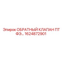 1624872901 ОБРАТНЫЙ КЛАПАН ПТФЭ Epiroc