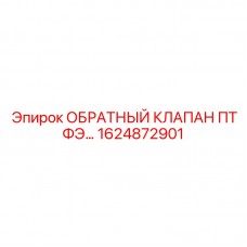 1624872901 ОБРАТНЫЙ КЛАПАН ПТФЭ Epiroc