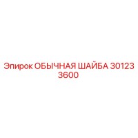301233600 ОБЫЧНАЯ ШАЙБА Epiroc