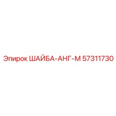 57311730 ШАЙБА-АНГ-М Epiroc