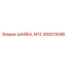 300013096 ШАЙБА, М12 Epiroc
