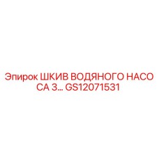 GS12071531 ШКИВ ВОДЯНОГО НАСОСА 3… Эпирок