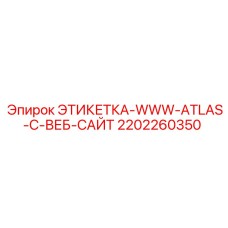 2202260350 ЭТИКЕТКА-WWW-ATLAS-C-ВЕБ-САЙТ Epiroc