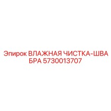 5730013707 ВЛАЖНАЯ ЧИСТКА-ШВАБРА Epiroc