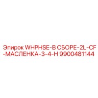 9900481144 WHPHSE-В СБОРЕ-2L-CF-МАСЛЕНКА-3-4-H Epiroc