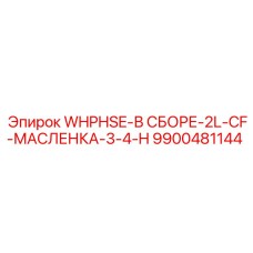 9900481144 WHPHSE-В СБОРЕ-2L-CF-МАСЛЕНКА-3-4-H Epiroc