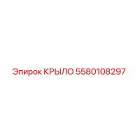 5580108297 КРЫЛО Epiroc