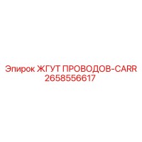 2658556617 ЖГУТ ПРОВОДОВ-CARR (Epiroc)