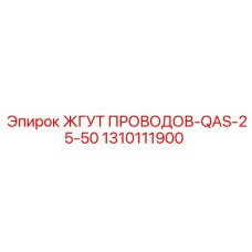1310111900 ЖГУТ ПРОВОДОВ-QAS-25-50 Эпирок