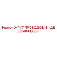 2658566004 ЖГУТ ПРОВОДОВ-ВИДЕ Эпирок