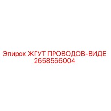 2658566004 ЖГУТ ПРОВОДОВ-ВИДЕ Эпирок