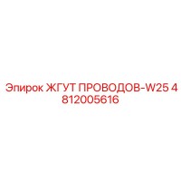 4812005616 ЖГУТ ПРОВОДОВ-W25 Epiroc