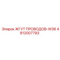 4812007793 ЖГУТ ПРОВОДОВ-W36 Epiroc
