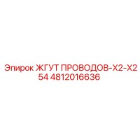 4812016636 ЖГУТ ПРОВОДОВ-X2-X254 Epiroc
