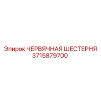 3715879700 ЧЕРВЯЧНАЯ ШЕСТЕРНЯ Epiroc