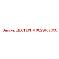 9829102600 ШЕСТЕРНЯ (Epiroc)
