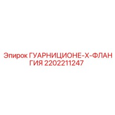 2202211247 ГУАРНИЦИОНЕ-X-ФЛАНГИЯ Epiroc