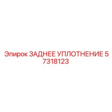 57318123 ЗАДНЕЕ УПЛОТНЕНИЕ Epiroc