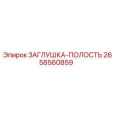 2658560859 ЗАГЛУШКА-ПОЛОСТЬ Epiroc