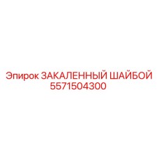 5571504300 ЗАКАЛЕННЫЙ ШАЙБОЙ Epiroc