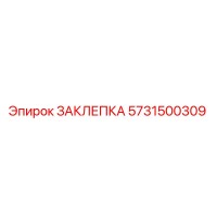 5731500309 ЗАКЛЕПКА Epiroc