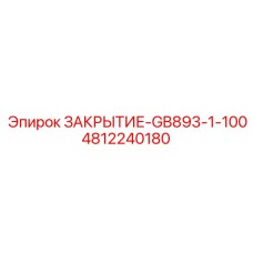 4812240180 ЗАКРЫТИЕ-GB893-1-100 Epiroc