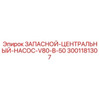 3001181307 ЗАПАСНОЙ ЦЕНТРАЛЬНЫЙ НАСОС V80-B-50 Epiroc