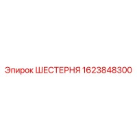 1623848300 ШЕСТЕРНЯ Epiroc