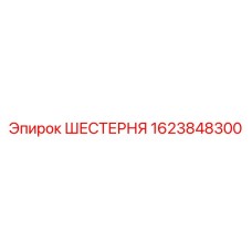 1623848300 ШЕСТЕРНЯ Epiroc
