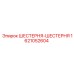 1621052604 ШЕСТЕРНЯ-ШЕСТЕРНЯ Epiroc