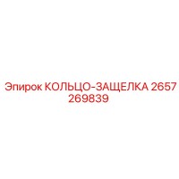 2657269839 КОЛЬЦО-ЗАЩЕЛКА Epiroc